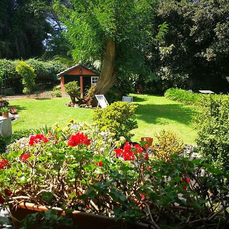 Jardines De Hortensia - Vacation Home Tenerife サン・クリストバル・デ・ラ・ラグーナ エクステリア 写真