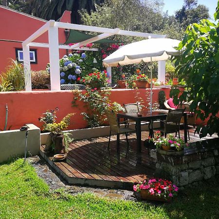 Jardines De Hortensia - Vacation Home Tenerife サン・クリストバル・デ・ラ・ラグーナ エクステリア 写真