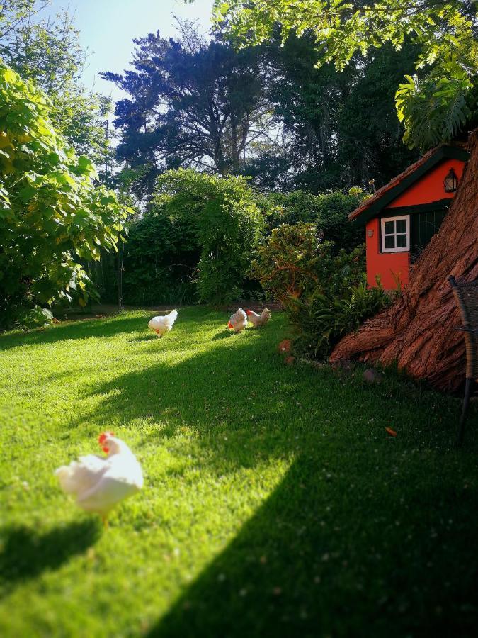 Jardines De Hortensia - Vacation Home Tenerife サン・クリストバル・デ・ラ・ラグーナ エクステリア 写真