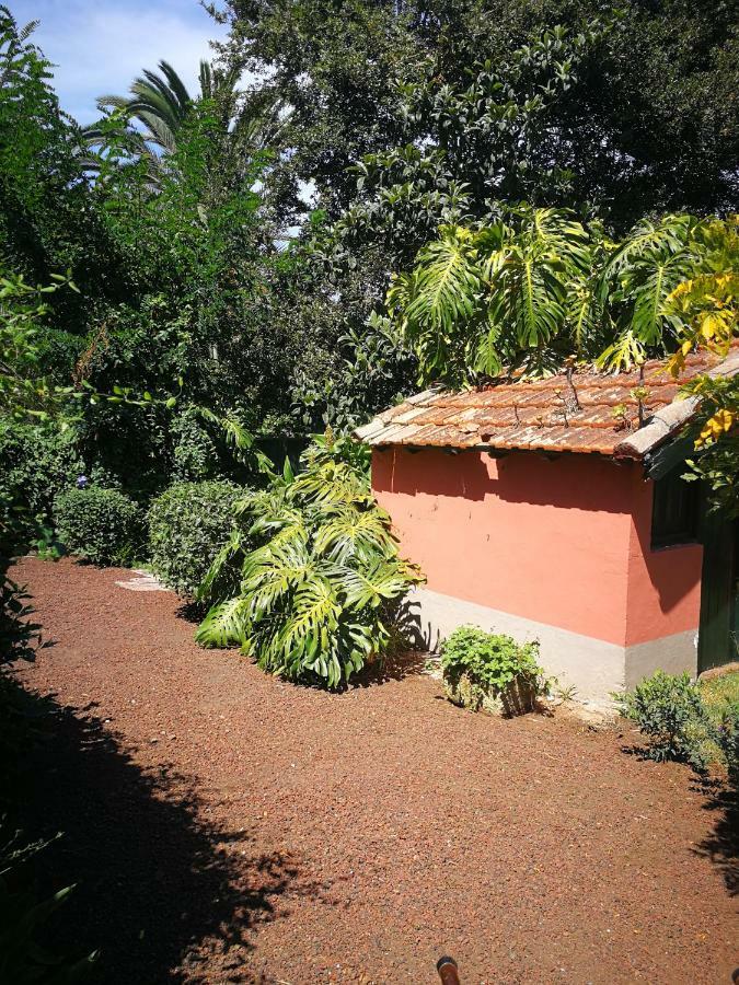 Jardines De Hortensia - Vacation Home Tenerife サン・クリストバル・デ・ラ・ラグーナ エクステリア 写真