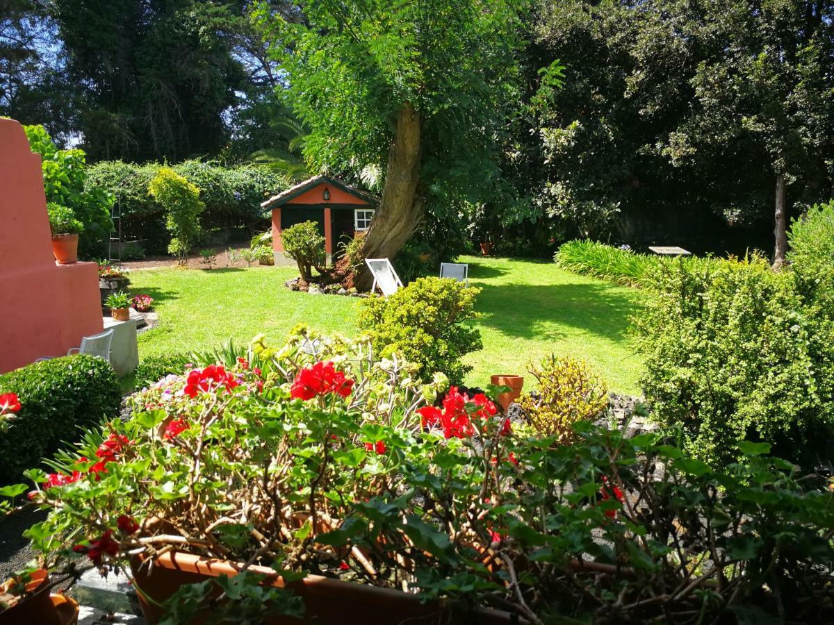 Jardines De Hortensia - Vacation Home Tenerife サン・クリストバル・デ・ラ・ラグーナ エクステリア 写真