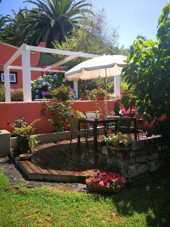 Jardines De Hortensia - Vacation Home Tenerife サン・クリストバル・デ・ラ・ラグーナ エクステリア 写真