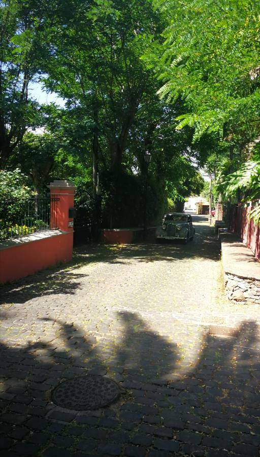 Jardines De Hortensia - Vacation Home Tenerife サン・クリストバル・デ・ラ・ラグーナ エクステリア 写真