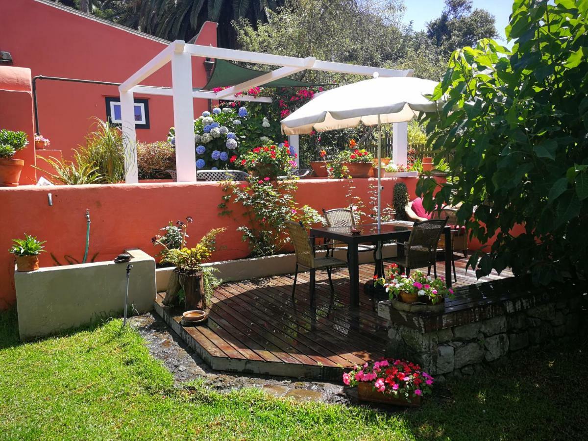 Jardines De Hortensia - Vacation Home Tenerife サン・クリストバル・デ・ラ・ラグーナ エクステリア 写真